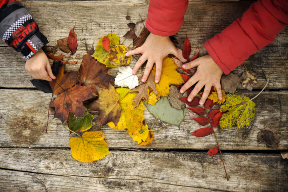 Programme des mercredis de mars 2026